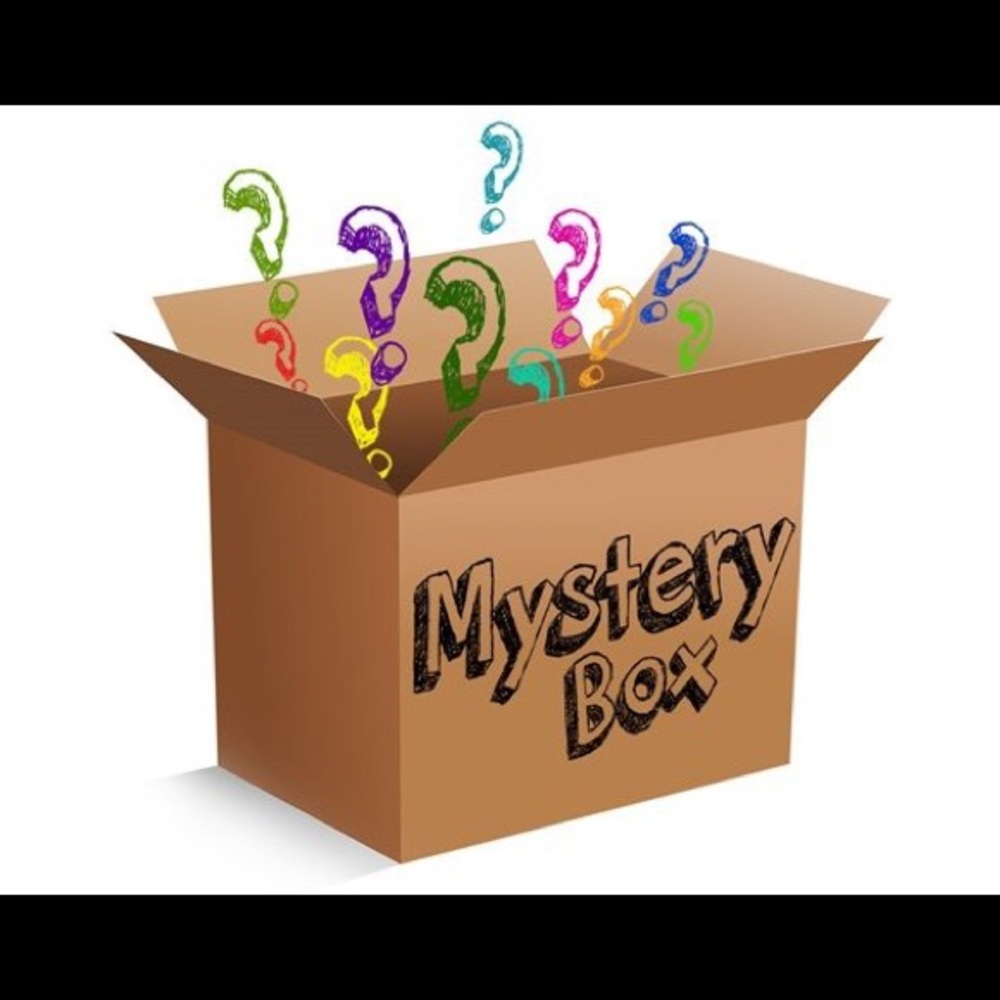Mystery Box- Purses!